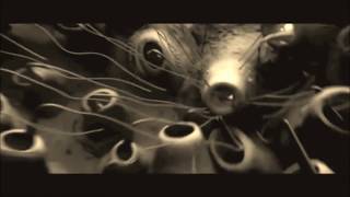 Haujobb - Cutedge (Unofficial Video)