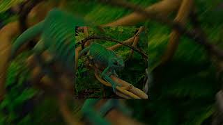 Caméléon - Gims (sped up)