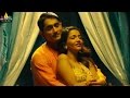 Premalayam Movie Hey Hey Mister Video Song | Siddharth, Prithviraj, Vedhika | Sri Balaji Video