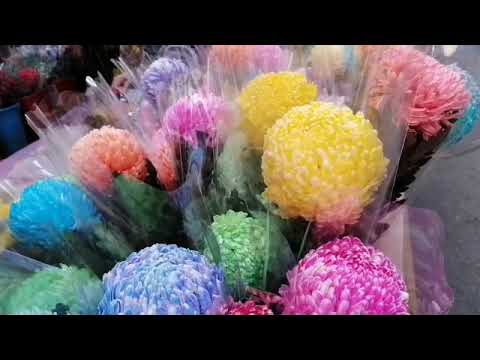 FLOWER MARKET//MONGKOK//ELONA