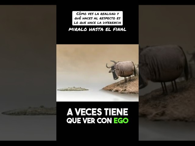 Percepciones únicas, decisiones y cómo nos relacionamos