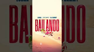 Loona x Jerome x DJ Sammy -  Bailando