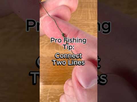 How to connect two fishing lines the EASY way #fishing #fishingtips #fishingknot