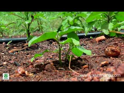 Agriculture Plastic Rain Pipe