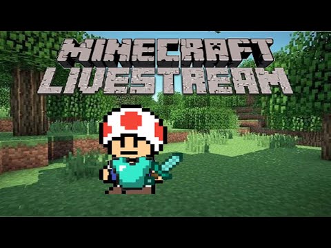 EPIC Minecraft Stream 2! INSANE Cozy Vibes!