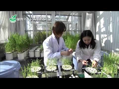 岡山大学　資源植物科学研究所 紹介
