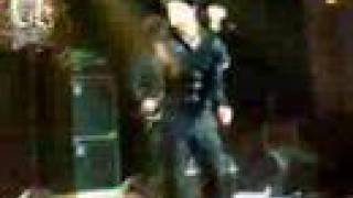 The Unshockable - Maximo Park(rolling stone,