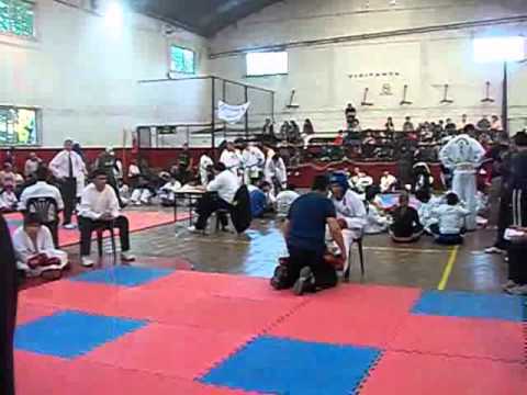 Jonathan Palacios TKD ITF : ACCIÓN EN LA ARENA