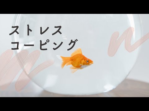 【京都府立医科大学】看護学科 模擬授業「ストレスコーピング・こころの体温計・呼吸法・漸進筋弛緩法」