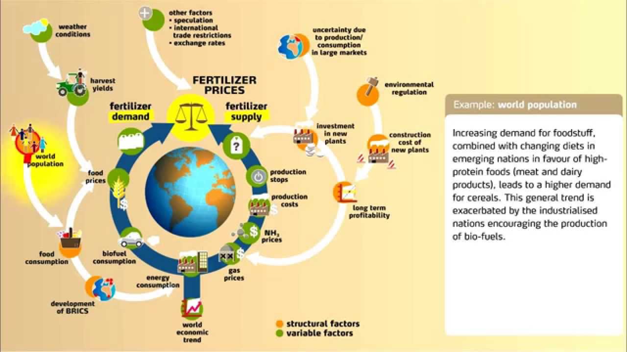 Understanding Fertilizer Market Dynamics