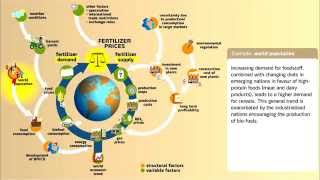 Understanding Fertilizer Market Dynamics