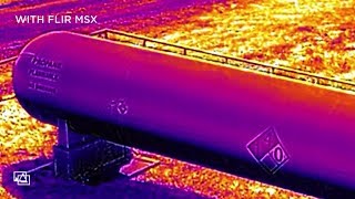 FLIR MSX: See the Difference