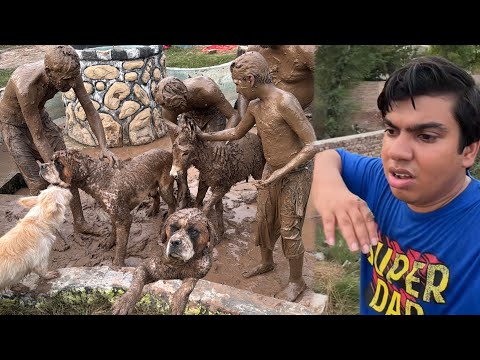 Sab Animals Ko Mud Bna Dea Kis Na ? 😭