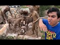 Sab Animals Ko Mud Bna Dea Kis Na