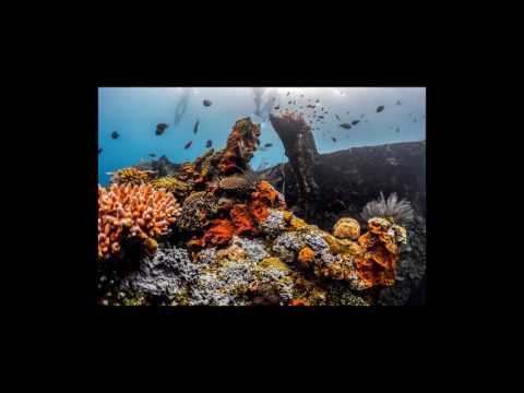 [Wikipedia] Kirill of Turov