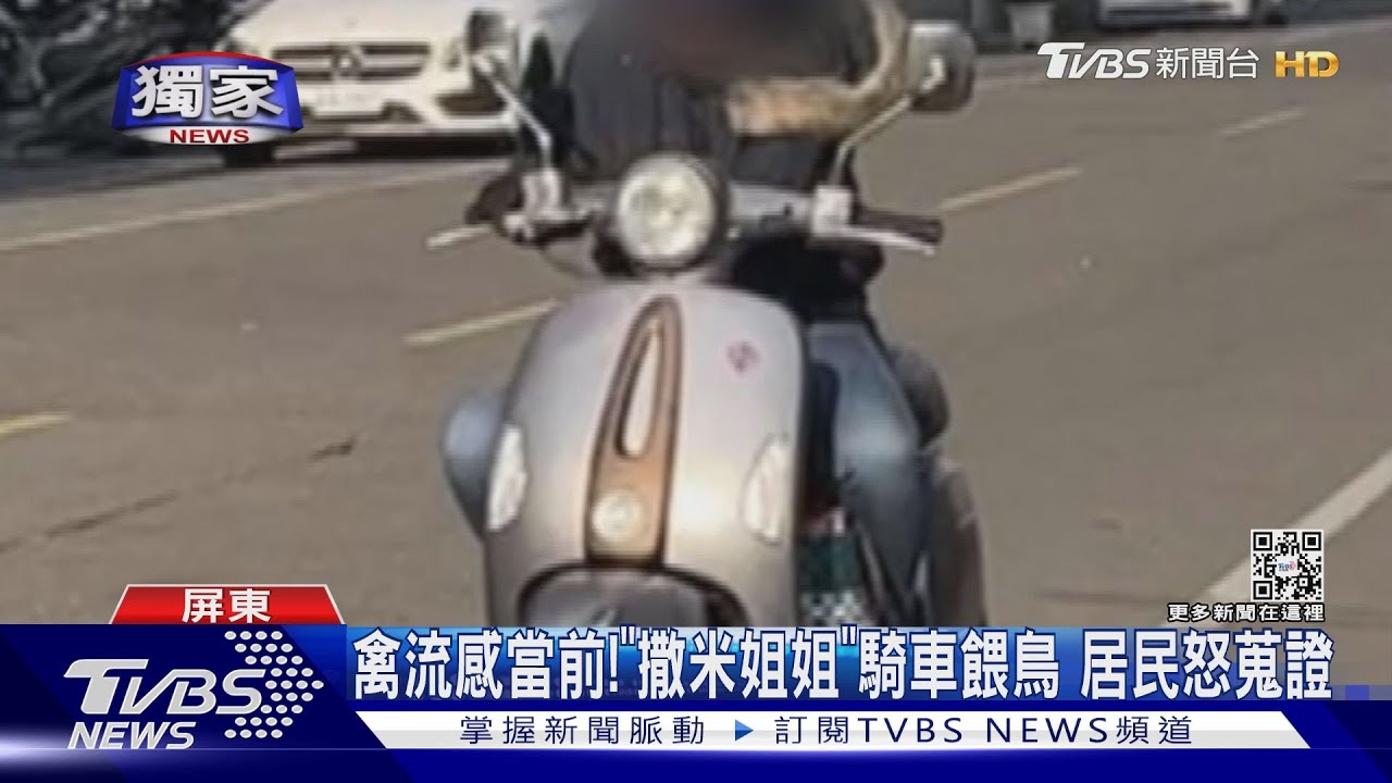 別再撒了啦！「撒米姐姐」騎車餵鳥罰不怕　居民憤怒蒐證