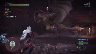[MHW]武器防具ランダムで死んだら即終了CAS。～HR210↑～