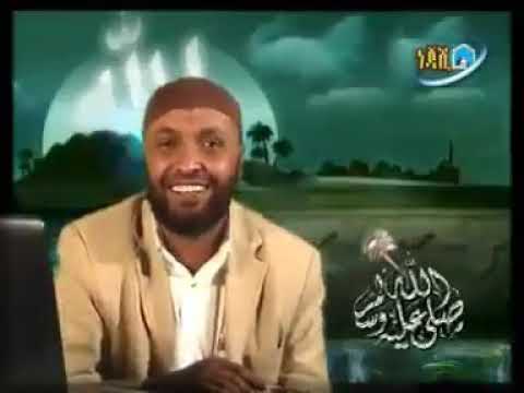 ሰሉ አለ ነቢ