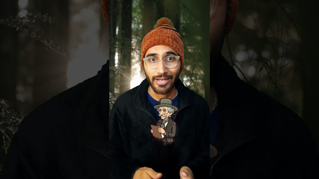 Reel thumbnail