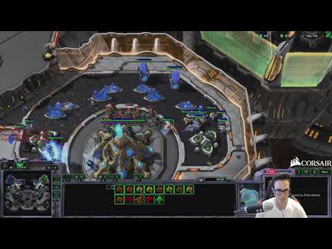 Expanding is for Losers - Insane All-in game