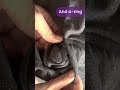 FTM Packing with urBasics' 2-1 Packing Boxers