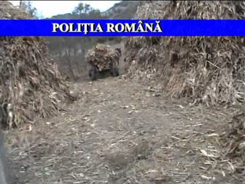 Pădurar ameninţat cu toporul de hoţii de lemne