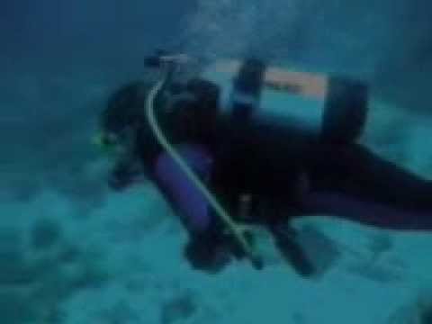 Insel Cres, Diving Center Cres, Camp. Kovacine, Tauchplatz SV Blaz, Insel Cres,Kroatien