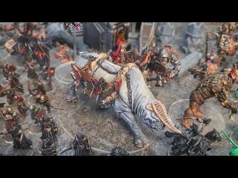 One Year MESBG army showcase (564 miniatures)