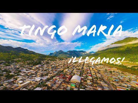 Bootstrap video card hover effect