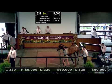 2020 Perth Yearling Sale Day 2