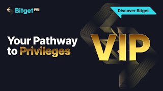 Unlock Your Privileges Today | Bitget VIP