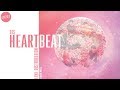 BTS Heartbeat Line Distribution