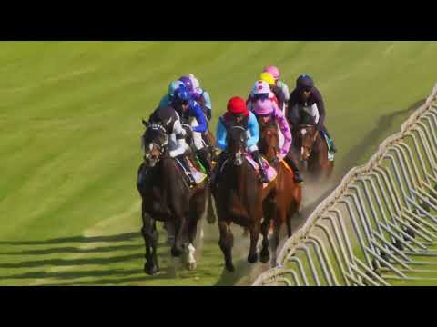 NAVY STRENGTH - RACE 7 #HollywoodBetsKenilworth 16-11-2022