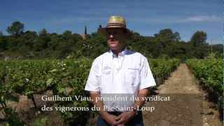 preview picture of video 'Vignes Buissonnières 2012'