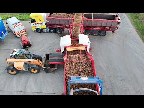 GRIMME CLEANLOADER AT WORK 