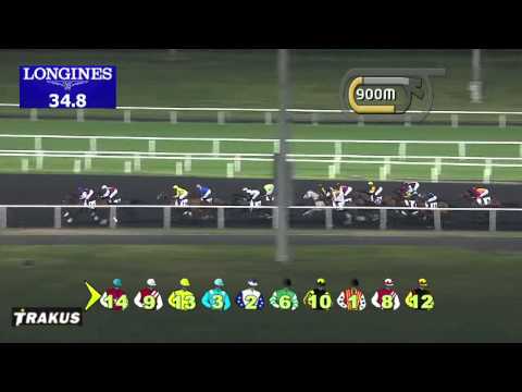 18.01.2014 Meydan (Dubai-UAE) 4.Race Aquarius - Handicap 1.400 m