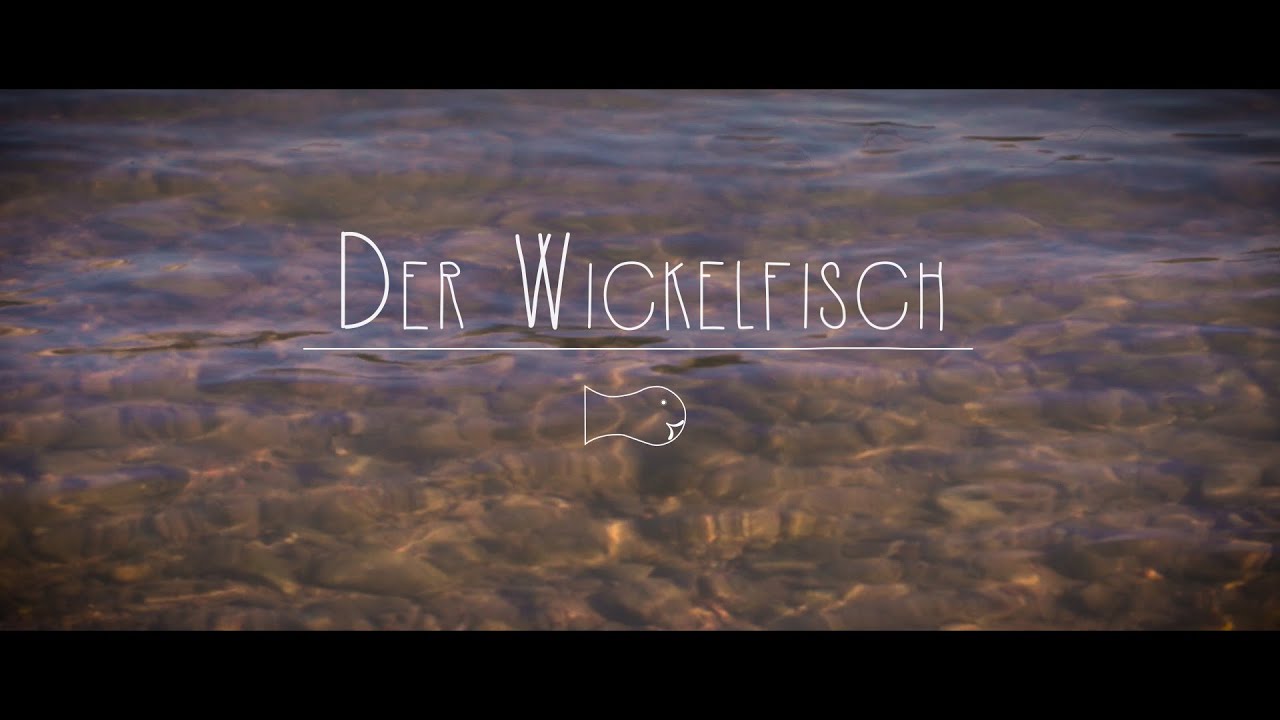 The Wickelfisch – Rhine swim in Basle