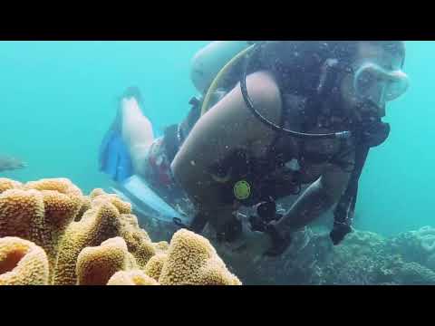 The Lost City of Dwarka – Was Lord Krishna’s Kingdom Real? Explained | TimeStampedEN