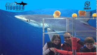 DIA 3 Expo Tiburon57