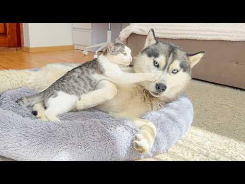 YouTube 썸네일