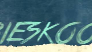 Klimat - Niebieskooka (Official Lyrics Video) Disco Polo 2014