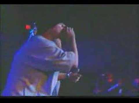 Plan B LIVE el DVD Guata Gata MIX