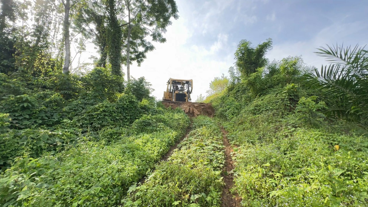 Old Road Service Bulldozer D6R XL Works Repairing Plantation Roads