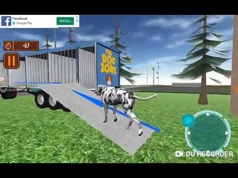 Dog Transport Truck Driver Video