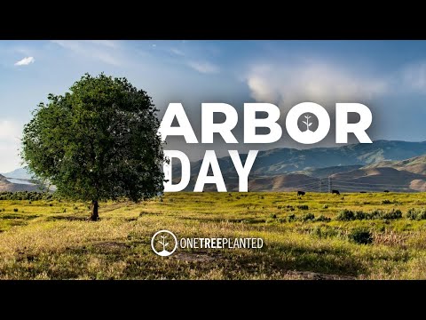 Arbor Day 2024 | One Tree Planted