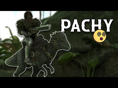 COMO TAMEAR PACHY y TODAS SUS HABILIDADES (PC, PS y XBOX) - ARK