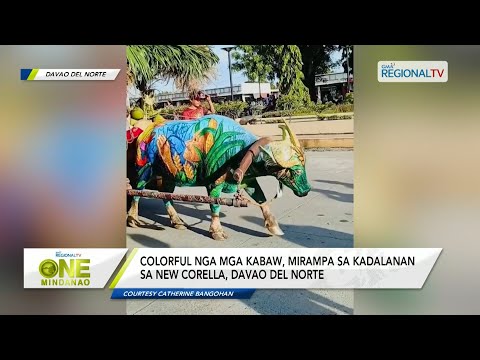 One Mindanao: Colorful nga mga kabaw, mirampa sa New Corella, Davao del Norte