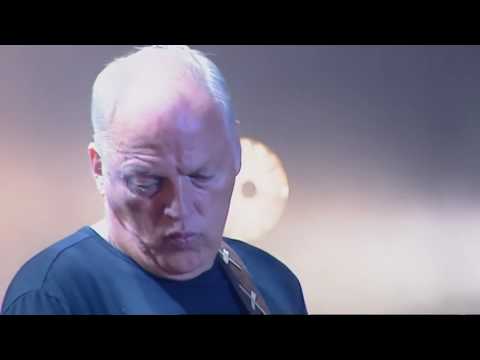 David Gilmour Comfortably Numb Guitar Solo live in Gdansk - one of the best solos ever