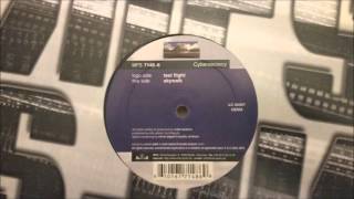 Cybersecrecy "Testflight" (Vinyl Rip)