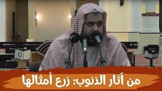 من آثار الذنوب والمعاصي: زرع بعضها بعضاً وتوليد أمثالها .. image